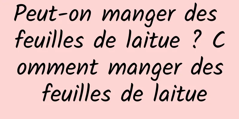 Peut-on manger des feuilles de laitue ? Comment manger des feuilles de laitue