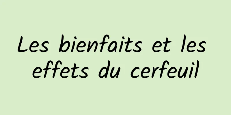 Les bienfaits et les effets du cerfeuil