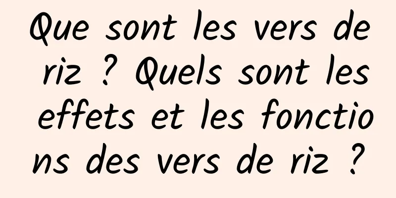 Que sont les vers de riz ? Quels sont les effets et les fonctions des vers de riz ?