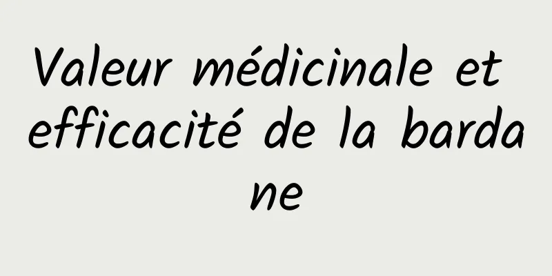 Valeur médicinale et efficacité de la bardane