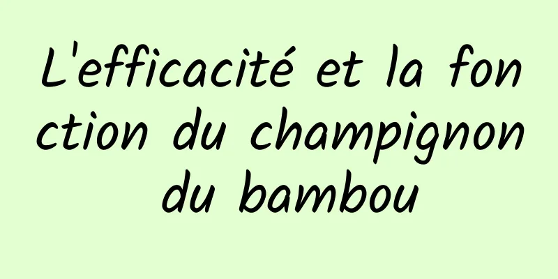 L'efficacité et la fonction du champignon du bambou