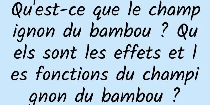 Qu'est-ce que le champignon du bambou ? Quels sont les effets et les fonctions du champignon du bambou ?