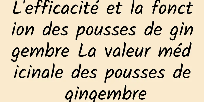 L'efficacité et la fonction des pousses de gingembre La valeur médicinale des pousses de gingembre