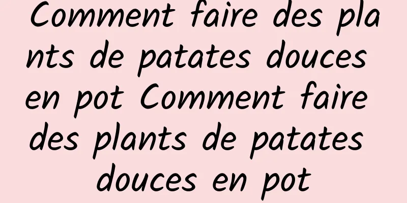 Comment faire des plants de patates douces en pot Comment faire des plants de patates douces en pot