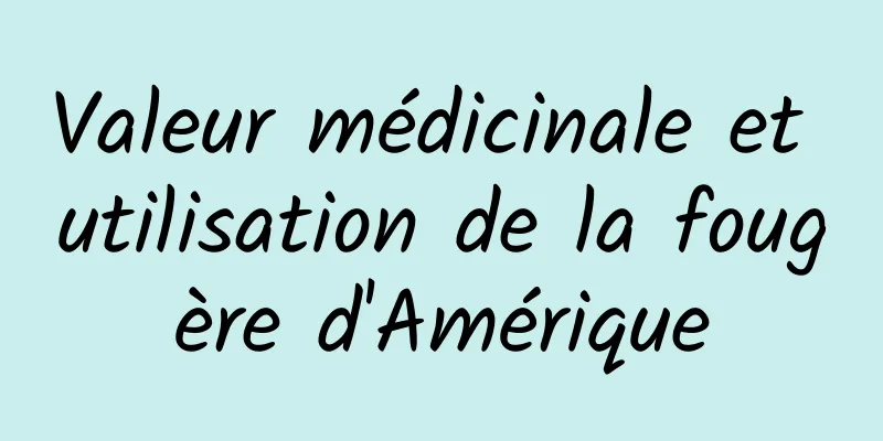 Valeur médicinale et utilisation de la fougère d'Amérique