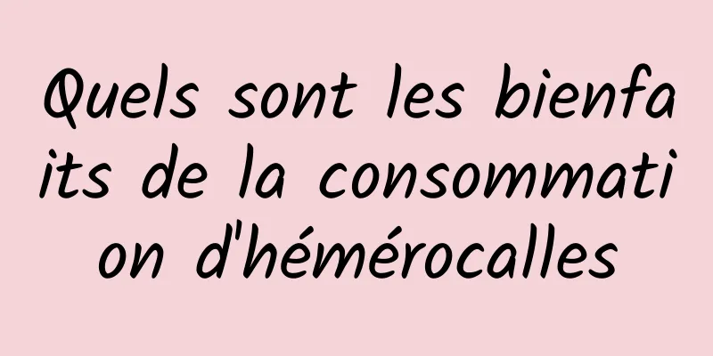 Quels sont les bienfaits de la consommation d'hémérocalles