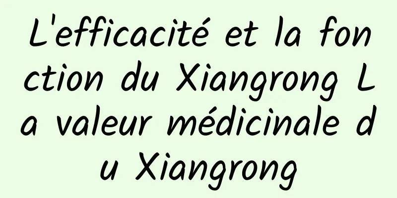 L'efficacité et la fonction du Xiangrong La valeur médicinale du Xiangrong