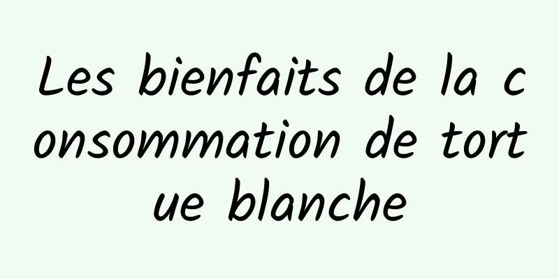 Les bienfaits de la consommation de tortue blanche