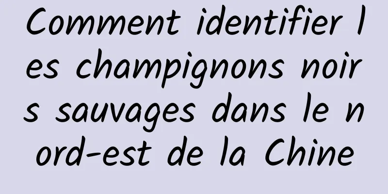 Comment identifier les champignons noirs sauvages dans le nord-est de la Chine