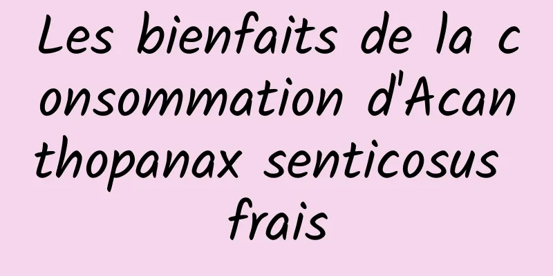 Les bienfaits de la consommation d'Acanthopanax senticosus frais