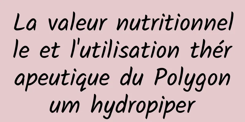 La valeur nutritionnelle et l'utilisation thérapeutique du Polygonum hydropiper