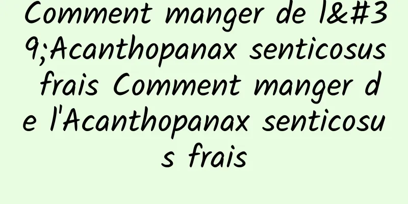 Comment manger de l'Acanthopanax senticosus frais Comment manger de l'Acanthopanax senticosus frais