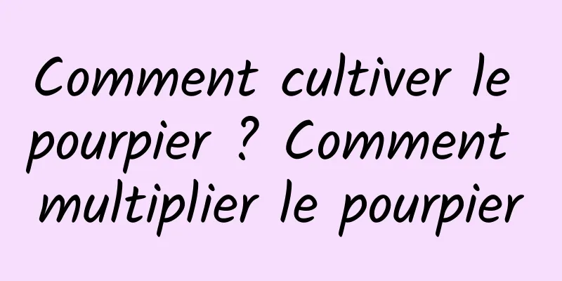 Comment cultiver le pourpier ? Comment multiplier le pourpier