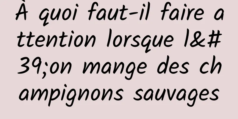 À quoi faut-il faire attention lorsque l'on mange des champignons sauvages