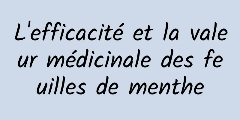 L'efficacité et la valeur médicinale des feuilles de menthe