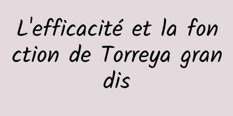 L'efficacité et la fonction de Torreya grandis