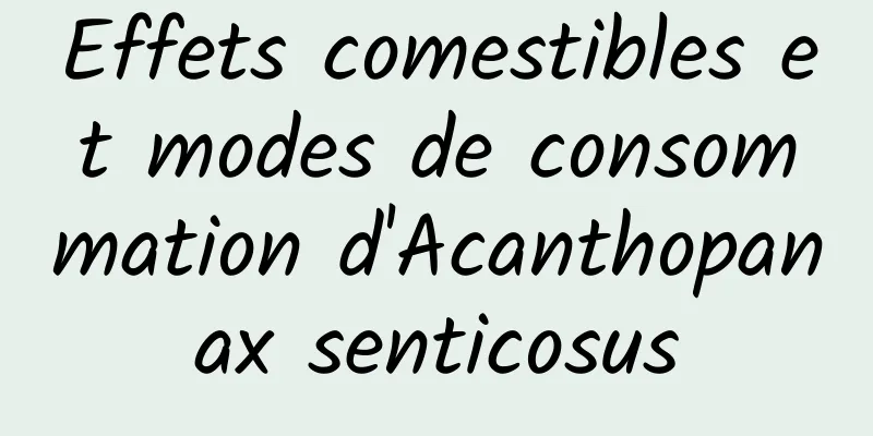 Effets comestibles et modes de consommation d'Acanthopanax senticosus