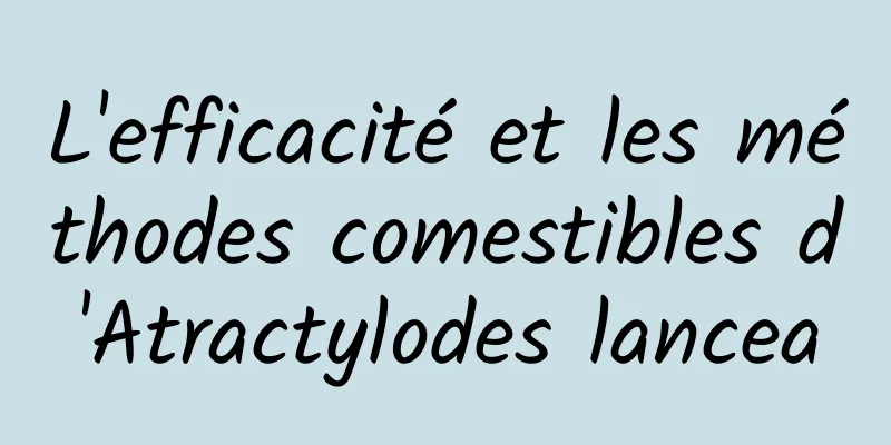 L'efficacité et les méthodes comestibles d'Atractylodes lancea