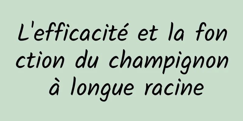 L'efficacité et la fonction du champignon à longue racine