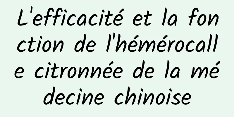 L'efficacité et la fonction de l'hémérocalle citronnée de la médecine chinoise