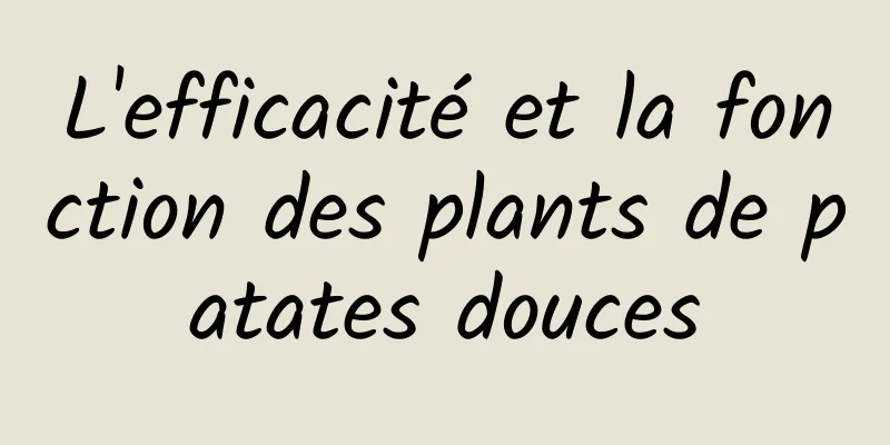 L'efficacité et la fonction des plants de patates douces