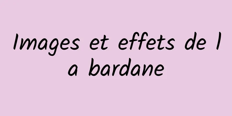 Images et effets de la bardane