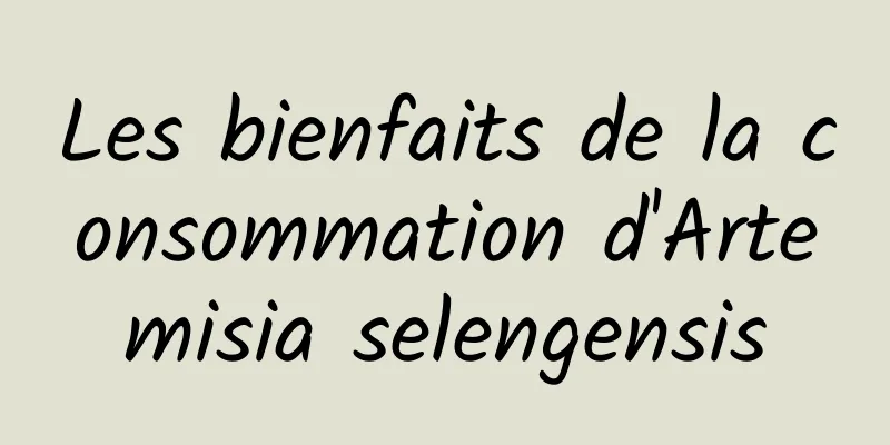 Les bienfaits de la consommation d'Artemisia selengensis