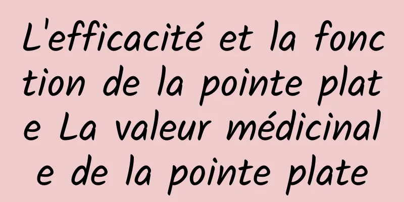 L'efficacité et la fonction de la pointe plate La valeur médicinale de la pointe plate