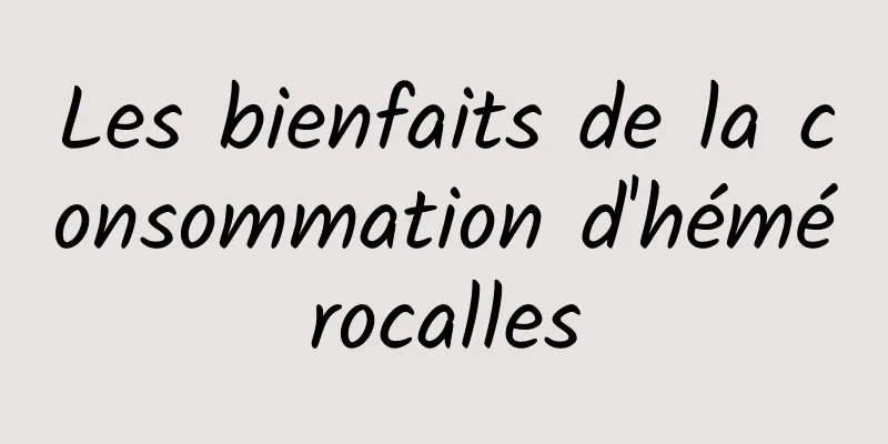 Les bienfaits de la consommation d'hémérocalles