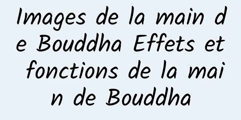 Images de la main de Bouddha Effets et fonctions de la main de Bouddha