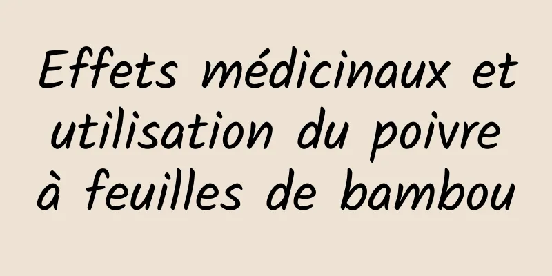 Effets médicinaux et utilisation du poivre à feuilles de bambou