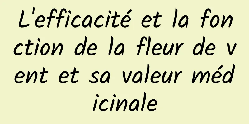 L'efficacité et la fonction de la fleur de vent et sa valeur médicinale