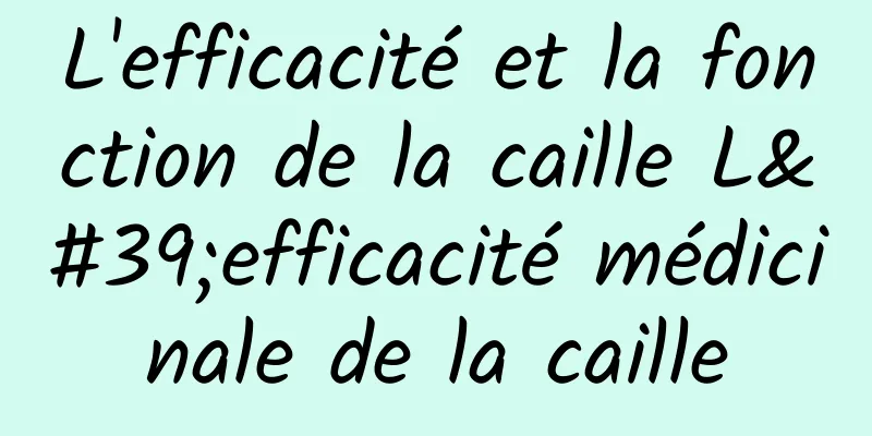 L'efficacité et la fonction de la caille L'efficacité médicinale de la caille