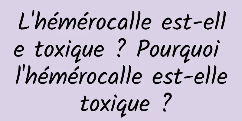 L'hémérocalle est-elle toxique ? Pourquoi l'hémérocalle est-elle toxique ?