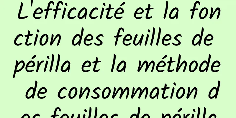 L'efficacité et la fonction des feuilles de périlla et la méthode de consommation des feuilles de périlla