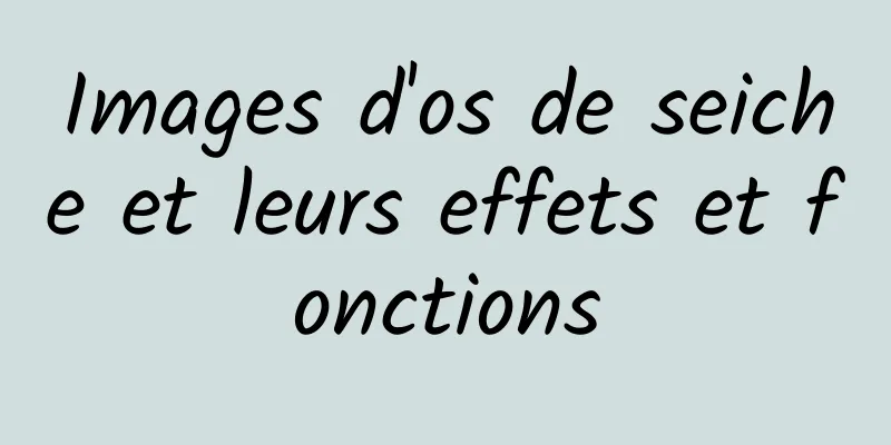 Images d'os de seiche et leurs effets et fonctions