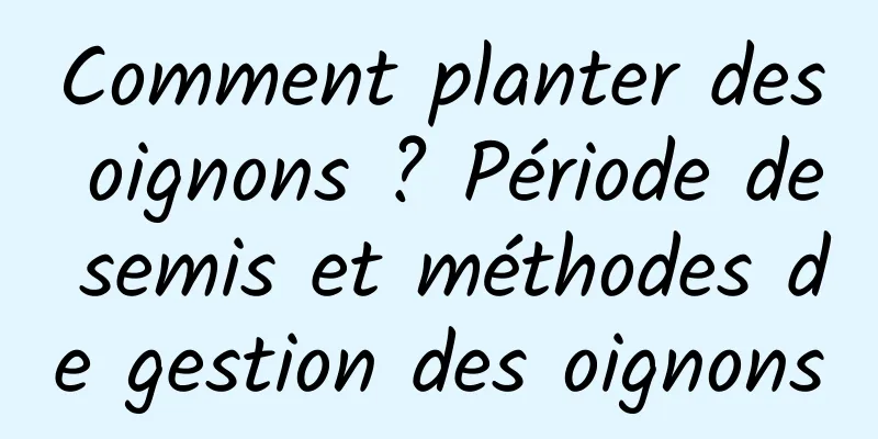 Comment planter des oignons ? Période de semis et méthodes de gestion des oignons