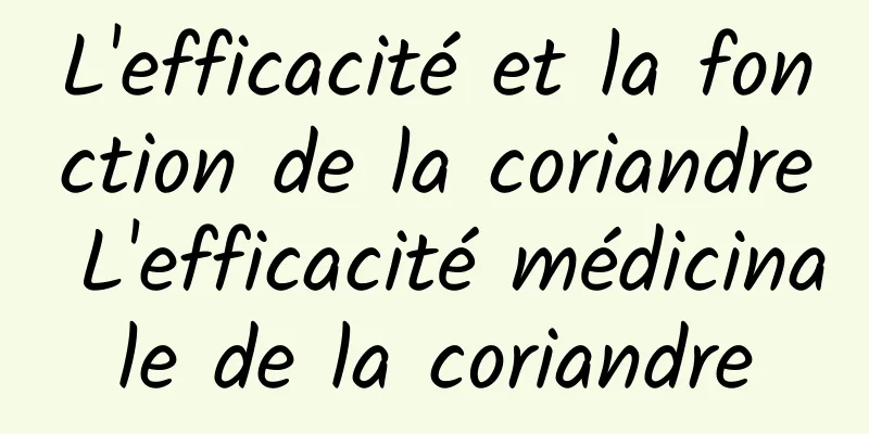 L'efficacité et la fonction de la coriandre L'efficacité médicinale de la coriandre