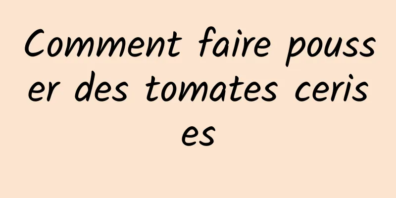 Comment faire pousser des tomates cerises