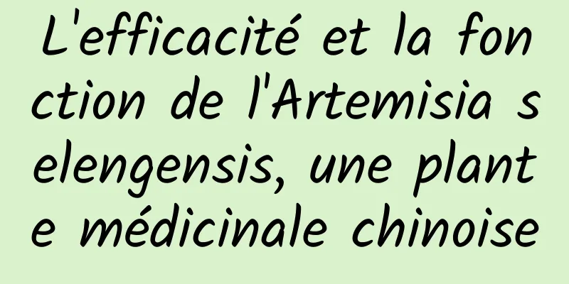 L'efficacité et la fonction de l'Artemisia selengensis, une plante médicinale chinoise