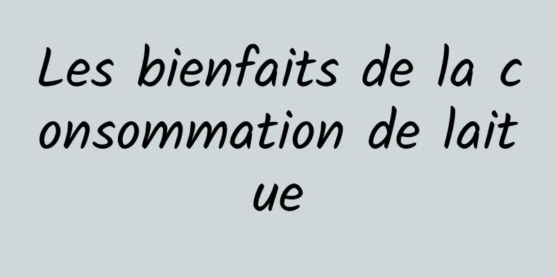 Les bienfaits de la consommation de laitue