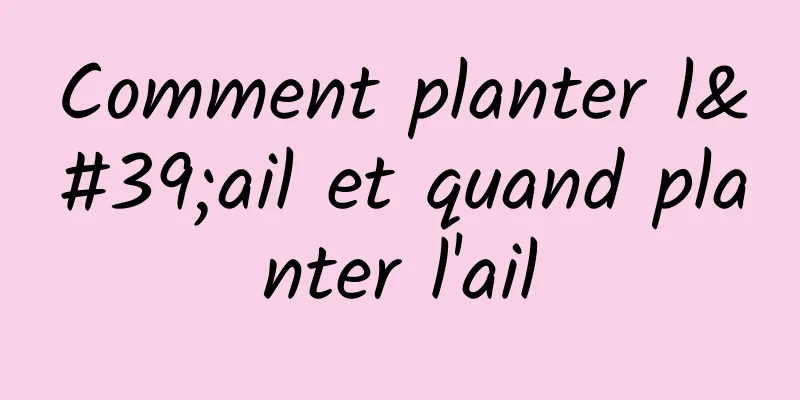 Comment planter l'ail et quand planter l'ail