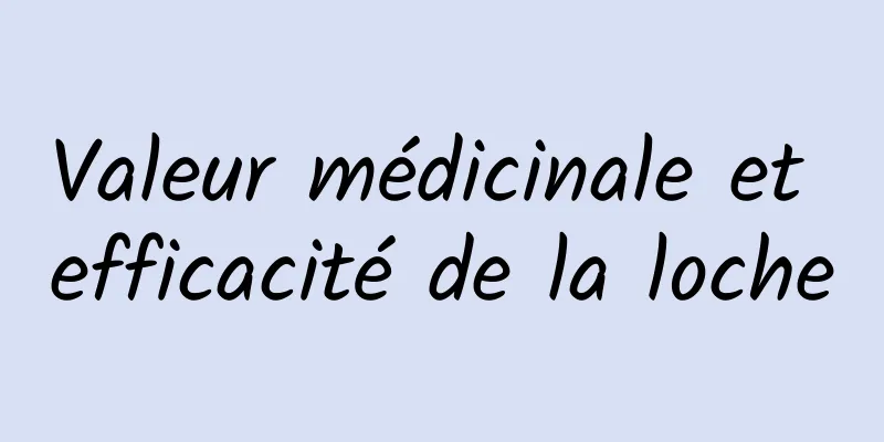 Valeur médicinale et efficacité de la loche