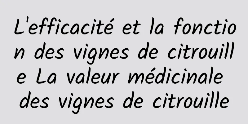 L'efficacité et la fonction des vignes de citrouille La valeur médicinale des vignes de citrouille