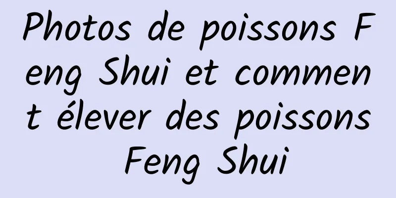 Photos de poissons Feng Shui et comment élever des poissons Feng Shui