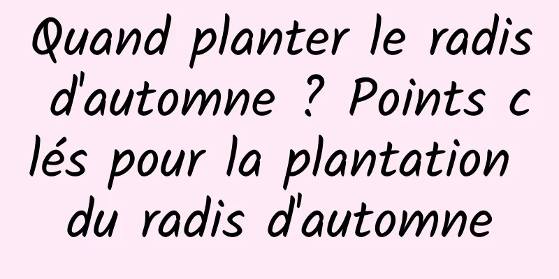 Quand planter le radis d'automne ? Points clés pour la plantation du radis d'automne