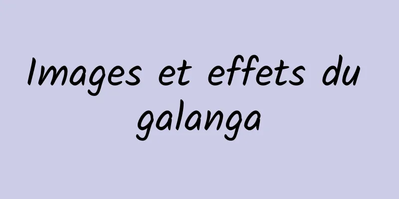 Images et effets du galanga