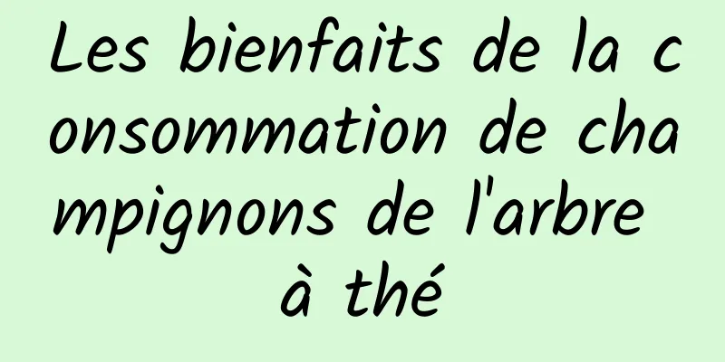 Les bienfaits de la consommation de champignons de l'arbre à thé