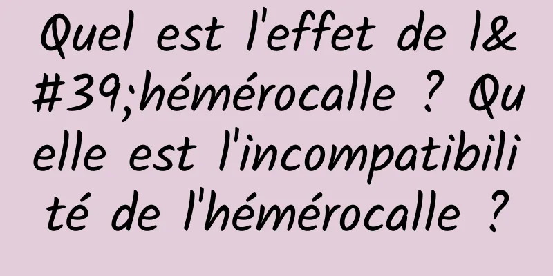 Quel est l'effet de l'hémérocalle ? Quelle est l'incompatibilité de l'hémérocalle ?