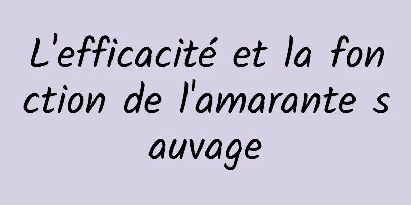 L'efficacité et la fonction de l'amarante sauvage